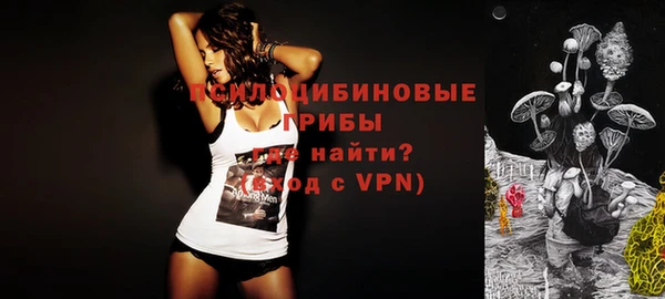 a pvp Дмитриев