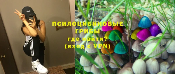 a pvp Дмитриев