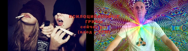 кокаин Дмитровск