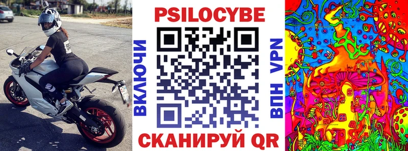 Псилоцибиновые грибы GOLDEN TEACHER  Купить где  Новокузнецк 